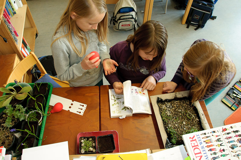Montessori Inning