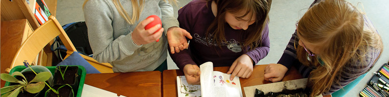 Montessori Inning